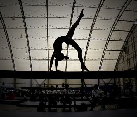 Absence of the&nbsp;Mat